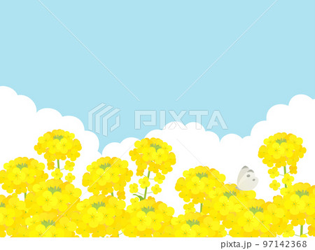菜の花の咲く風景_背景フレーム 菜の花の咲く風景_背景フレーム 97142368