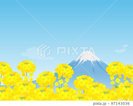 菜の花畑と富士山の美しい風景 97143036