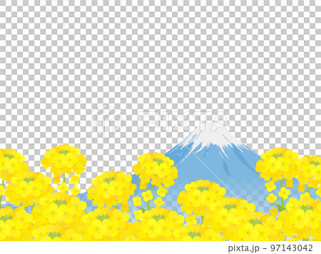油菜田和富士山的框架 97143042
