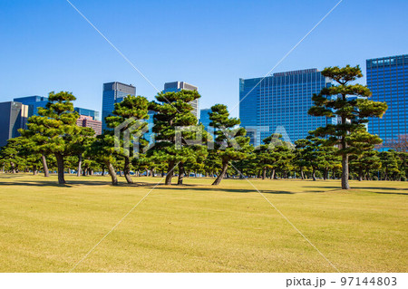 秋の東京　皇居外苑　皇居前広場とオフィスビル群 97144803