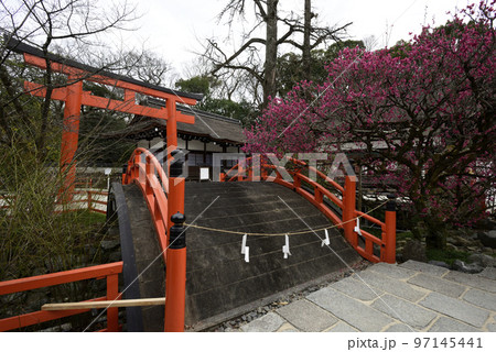 下鴨神社（賀茂御祖神社）光琳の梅 97145441
