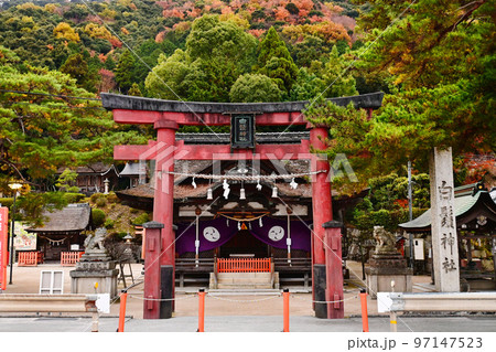 晩秋の夜明けに参拝した滋賀県白鬚神社本殿 晩秋の夜明けに参拝した滋賀県白鬚神社本殿 97147523