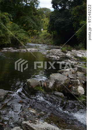 緑の中の岩場を流れる小さな川 97148222