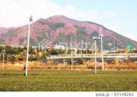 紅葉した山と茶畑の間を通りぬける高速道路 97148262