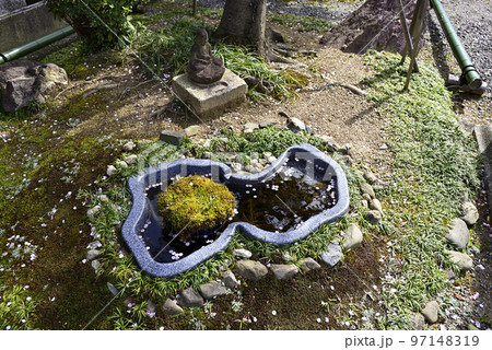 清浄華院　日本庭園 97148319