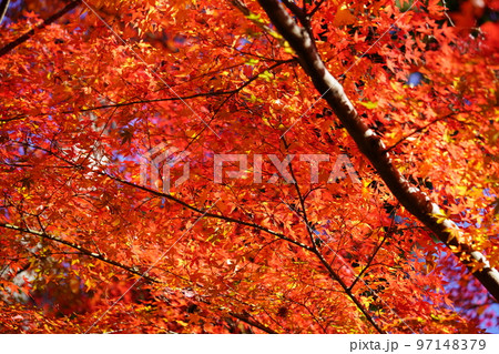 Autumn - Wikipedia