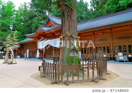 信州・穂高・穂高神社・パワースポットとして崇められる親孝行の木、孝養杉・長野県安曇野市(2) 信州・穂高・穂高神社・パワースポットとして崇められる親孝行の木、孝養杉・長野県安曇野市(2) 97148660