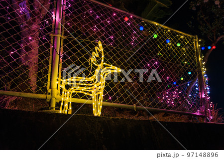 おのぶちイルミネーション（鹿児島県東郷小学校跡地） 97148896