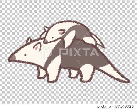 韓國食蟻獸的父母和孩子 97149320