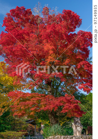 英彦山 英彦山 97149935