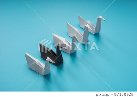 Paper swans, whites and different one as concept of black swan theory. Paper swans, whites and different one as concept of black swan theory. 97150929