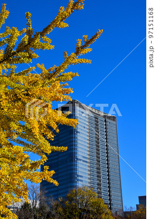 日比谷公園の雲形池の紅葉と東京ミッドタウン日比谷 日比谷公園の雲形池の紅葉と東京ミッドタウン日比谷 97151168