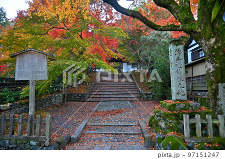 錦秋に参った京都市左京区 安楽寺の参道 97151247