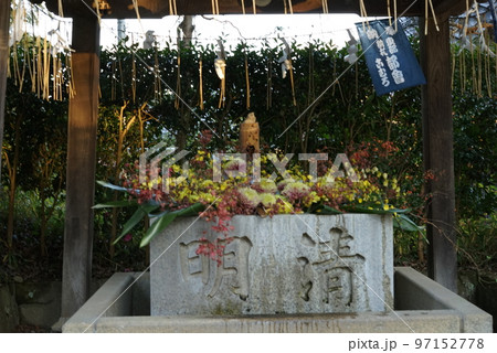 常陸国総社宮 花手水 常陸国総社宮 花手水 97152778