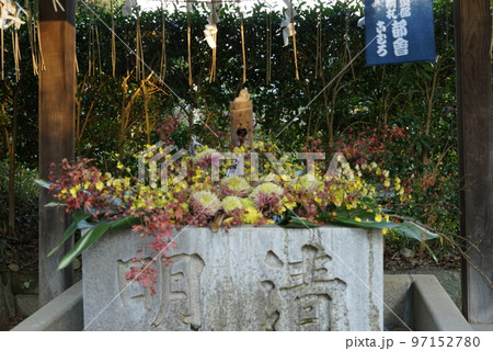 常陸国総社宮 花手水 常陸国総社宮 花手水 97152780