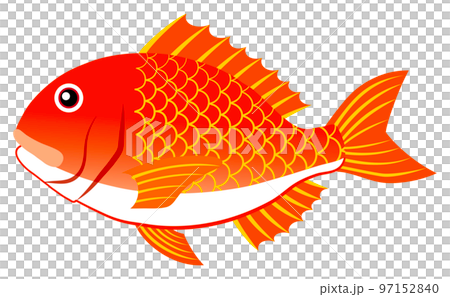 Lucky lucky sea bream Lucky lucky sea bream 97152840