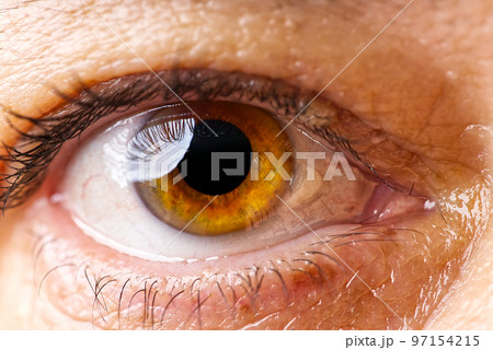 woman macro eye. macro photography of human eye 97154215