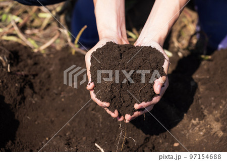 栄養いっぱいの畑の土 97154688