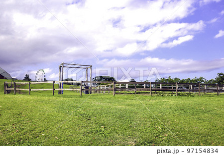 青空と草原、千葉マザー牧場 97154834