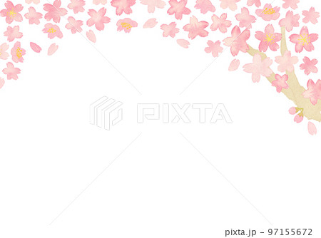 水彩のシンプルな桜背景 97155672