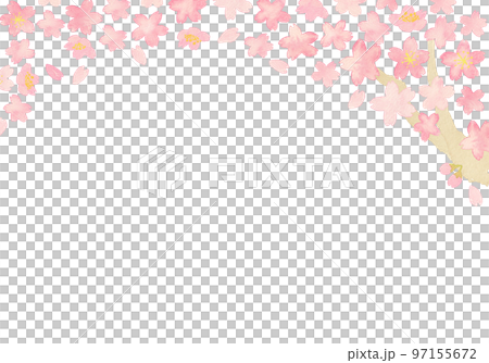 水彩のシンプルな桜背景 97155672