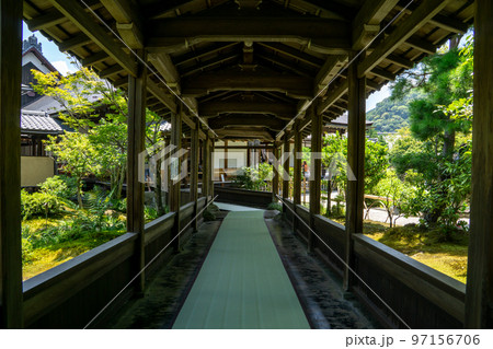 京都府　嵐山・嵯峨野　天龍寺の渡り廊下 97156706