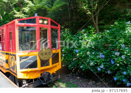 京都府　カラフルなトロッコ列車 97157695