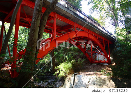 秋の等々力渓谷　ゴルフ橋 97158286