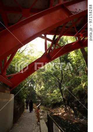 秋の等々力渓谷　ゴルフ橋 97158288