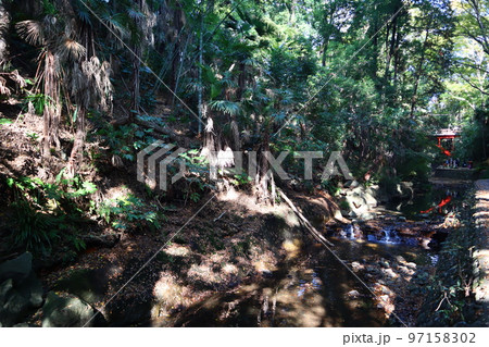 秋の等々力渓谷 97158302