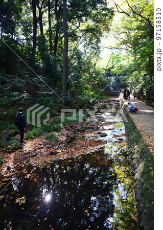 秋の等々力渓谷 97158310