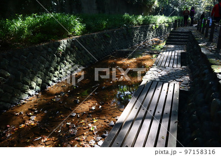 秋の等々力渓谷 97158316