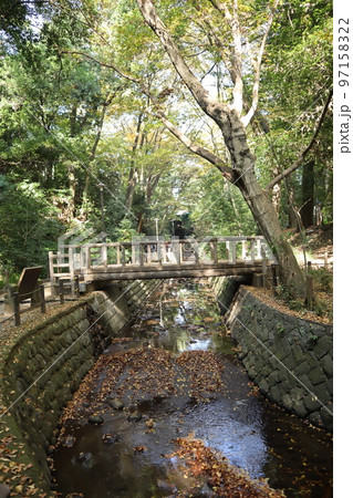 秋の等々力渓谷 97158322