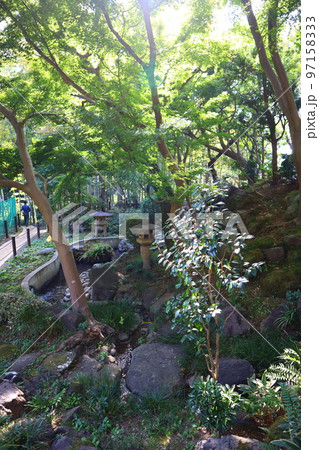 等々力渓谷の日本庭園 97158333