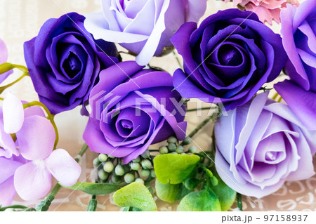 Purple Rose(パープルローズ) Purple Rose(パープルローズ) 97158937