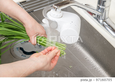 【ニラを洗う】 【ニラを洗う】 97160705