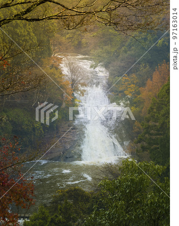 千葉県・養老渓谷 粟又の滝 / Awamata Waterfalls, Japan 97163014