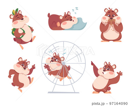 Hamster characters. Funny domestic fluffy animals in action poses home swanky pets exact vector cartoon hamsters Hamster characters. Funny domestic fluffy animals in action poses home swanky pets exact vector cartoon hamsters 97164090