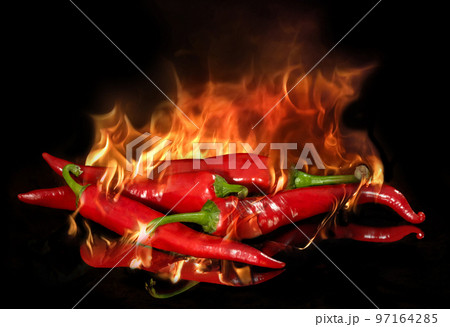 red chili pepper on fire on a black background red chili pepper on fire on a black background 97164285