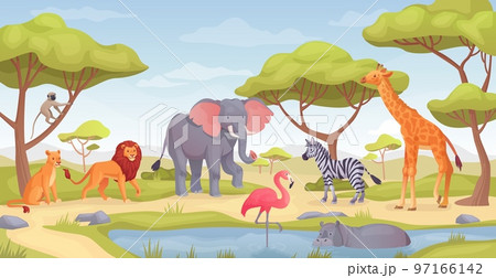 Savanna animals landscape. Tropical african animal on grassland savannah, jungle fauna panoramic scene at pond wild africa or zoo safari 97166142