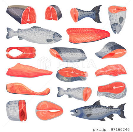 Salmon Fish Food as Raw Seafood and Sea Product Big Vector Set 97166246
