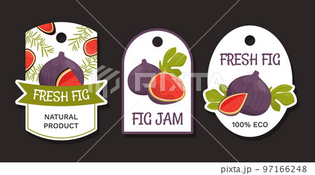 Fig Jam Natural Product Label Design with Ripe Fruit with Purple Skin Vector Template 97166248