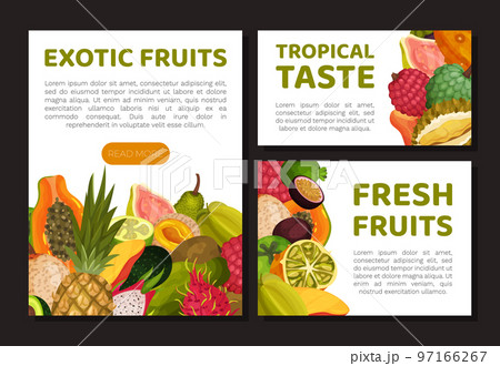 Exotic Fruits Poster or Banner Design with Ripe and Juicy Tropical Food Vector Template 97166267