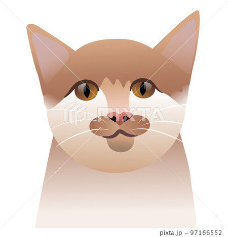 portrait of a cat looking at the camera 97166552