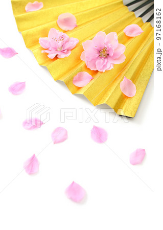 金扇と桃の花びら 97168162