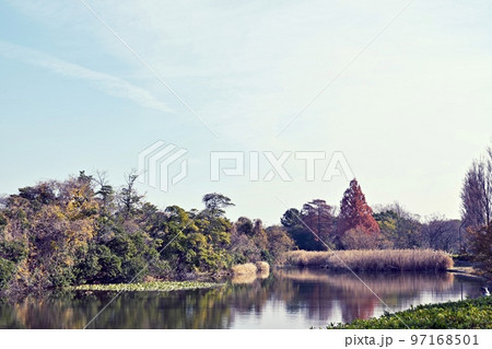 湖のある森林公園 湖のある森林公園 97168501