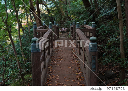 大磯城山公園 こうの橋 大磯城山公園 こうの橋 97168798