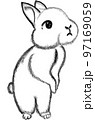 白黒の立ち姿のうさぎ 97169059