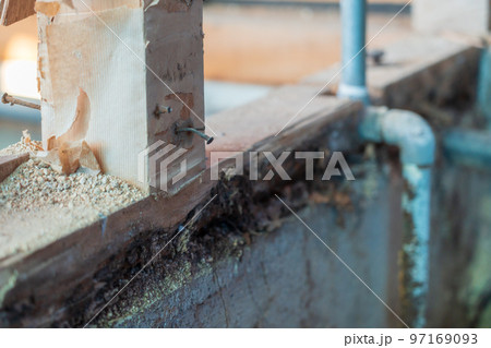 木部の腐食　シロアリ 97169093