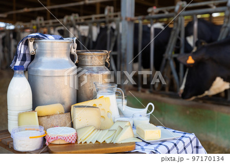 Dairy products on table standing in outdoor cowshed 97170134